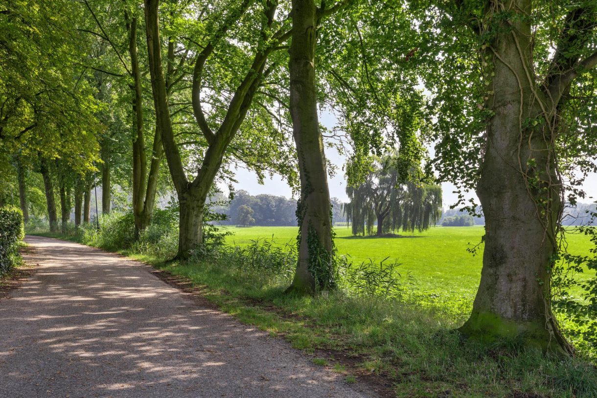 Te koop: Foto Woonhuis aan de Laan van Wisch 13 in Terborg