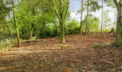 Te koop: Foto Woonhuis aan de Hertenlaan 14 in Silvolde