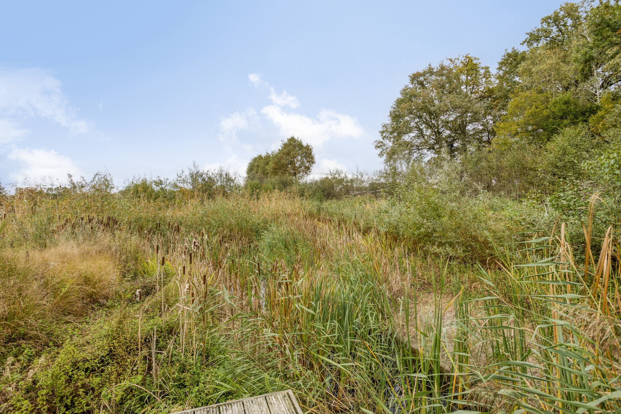 Te koop: Foto Woonhuis aan de Gelkinkweg 3 in De Heurne